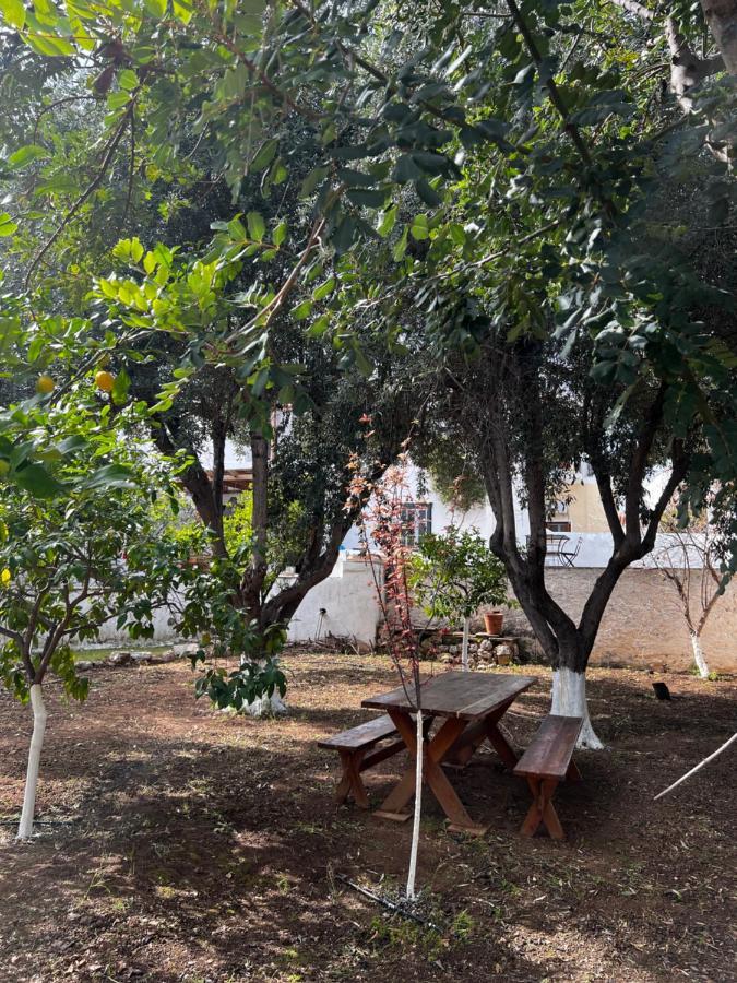 斯派赛斯 Two Olive Trees旅馆 外观 照片